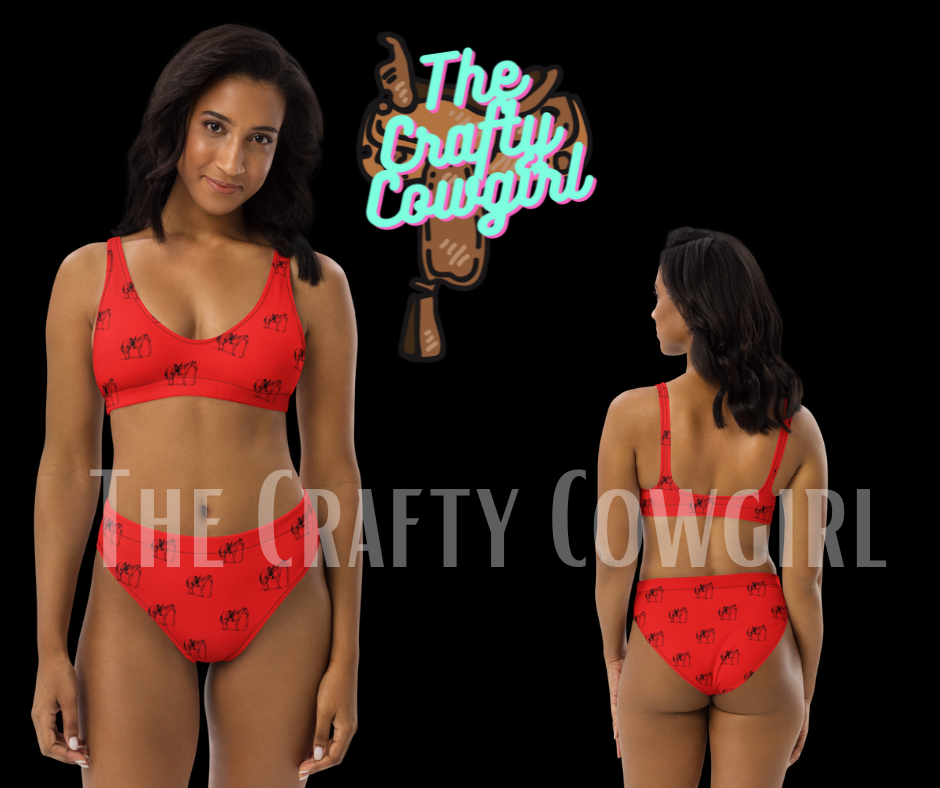 Silverado High Waist Bikini