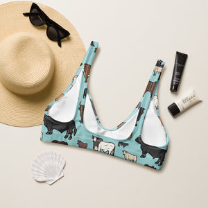 Cattle Breeds Bikini Top